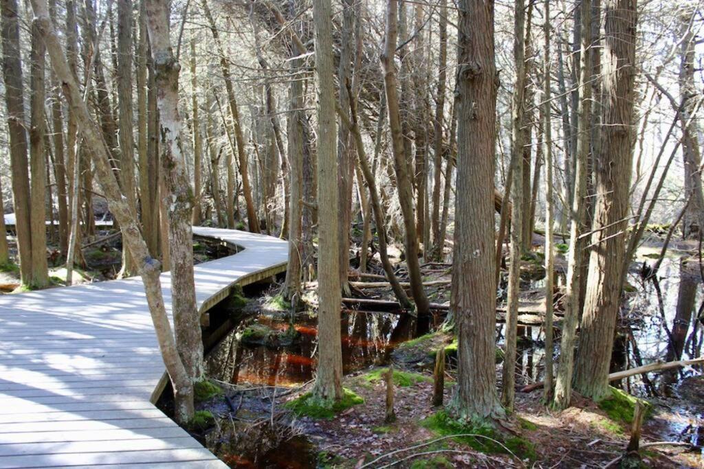 5 Min To Beach Yard W Fire Pit Villa Wellfleet Exterior foto